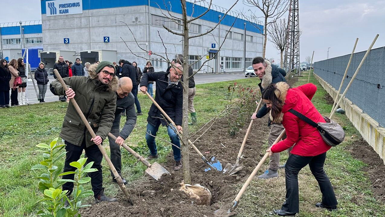 люди сажают деревья