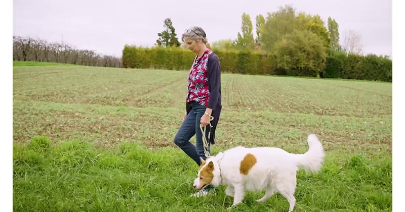 История Натали